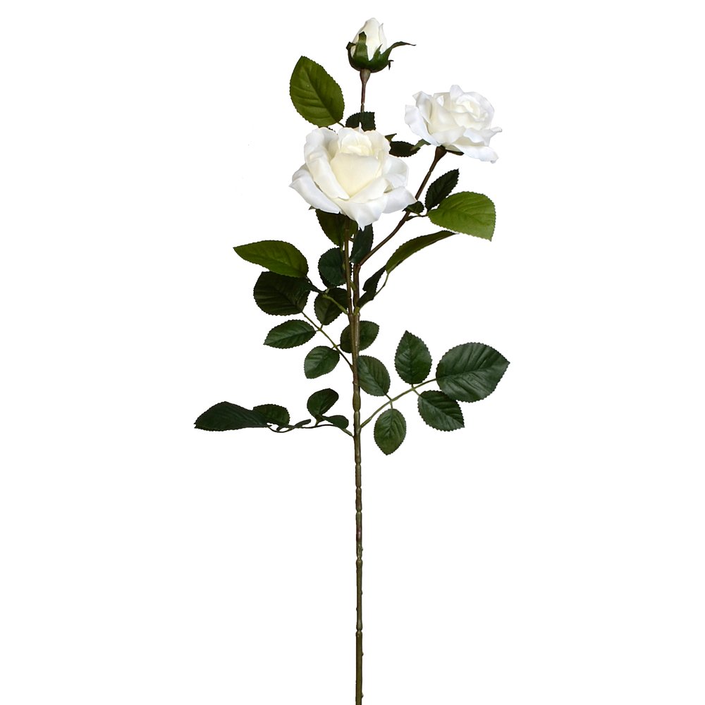 Rosenzweig x3 Luxor weiß, 90 cm