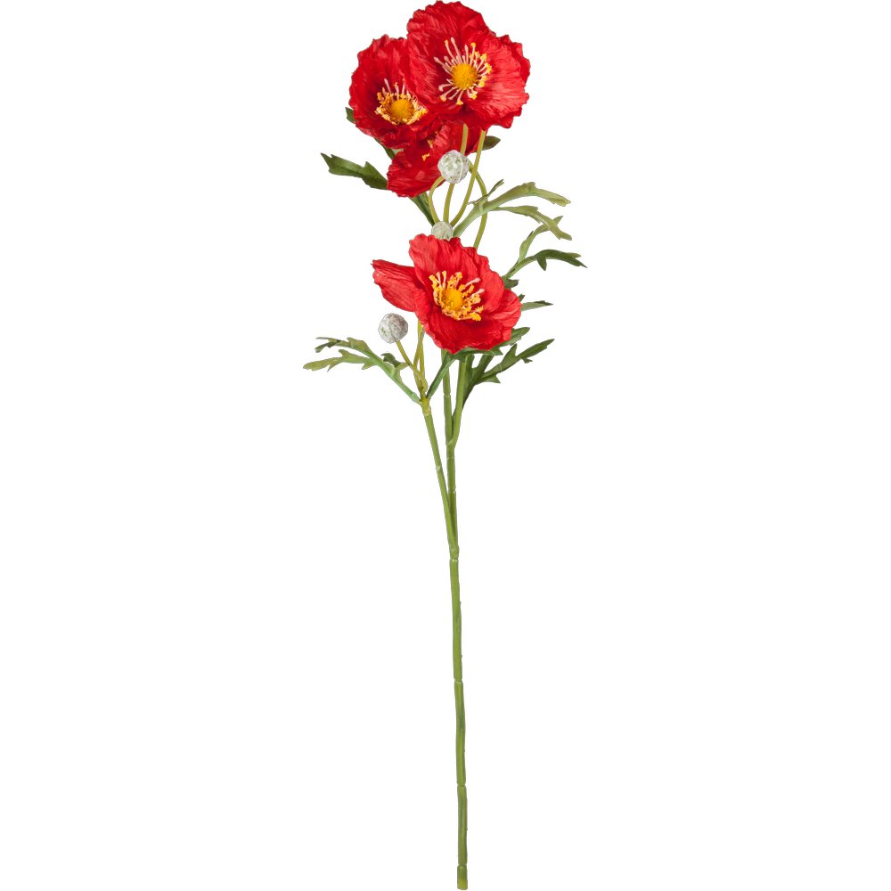 Mohnblume rot, 53 cm