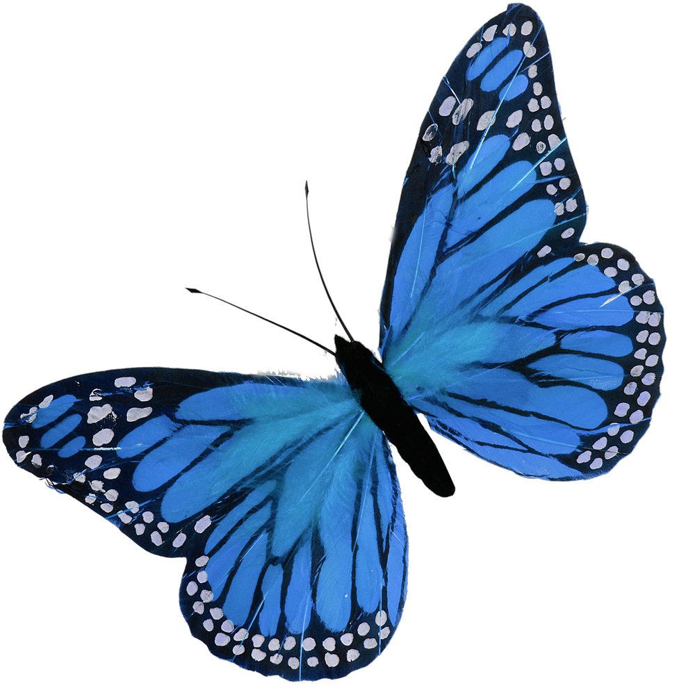 Schmetterling aus Federn blau  B 56 cm, H 38 cm