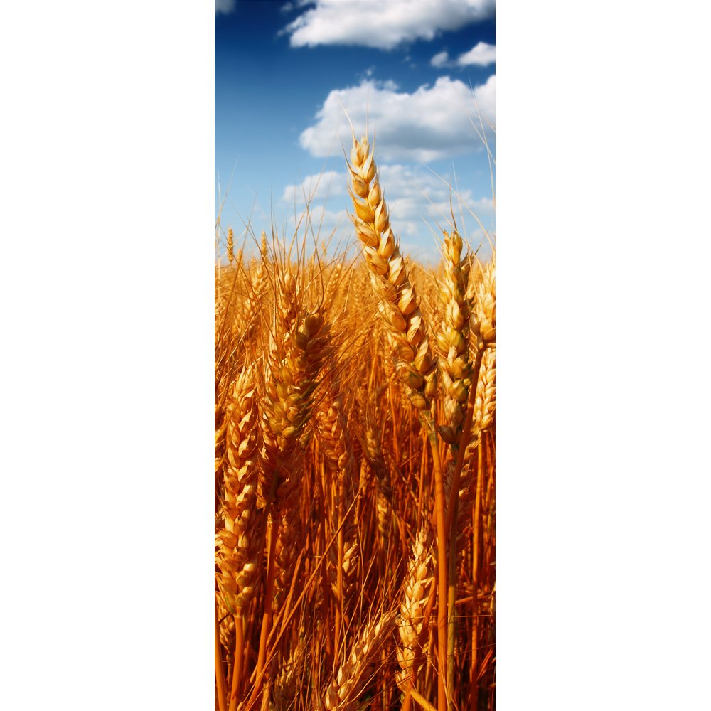 Banner Ährenfeld, 75 x 180 cm