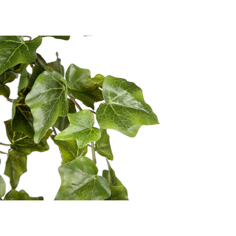 Efeuhänger Waterproof grün, 85 cm