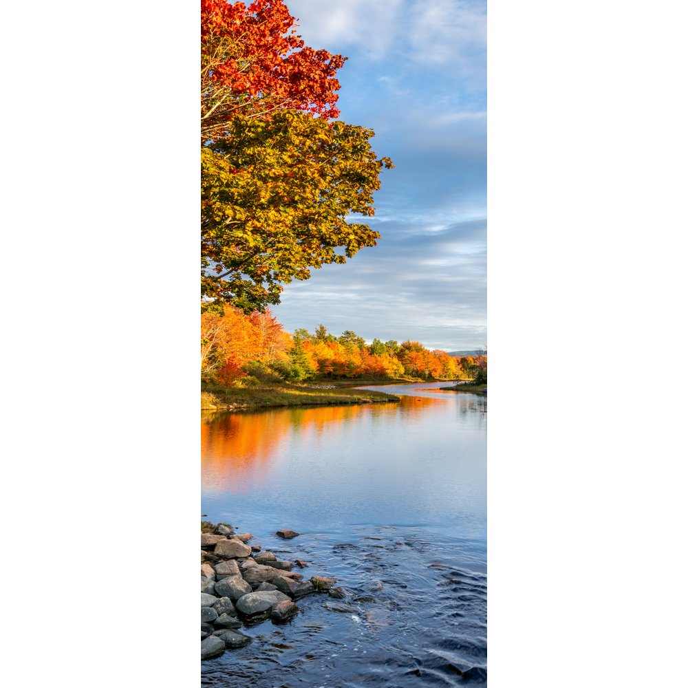 Banner Herbstwald am See ,75 x 180 cm