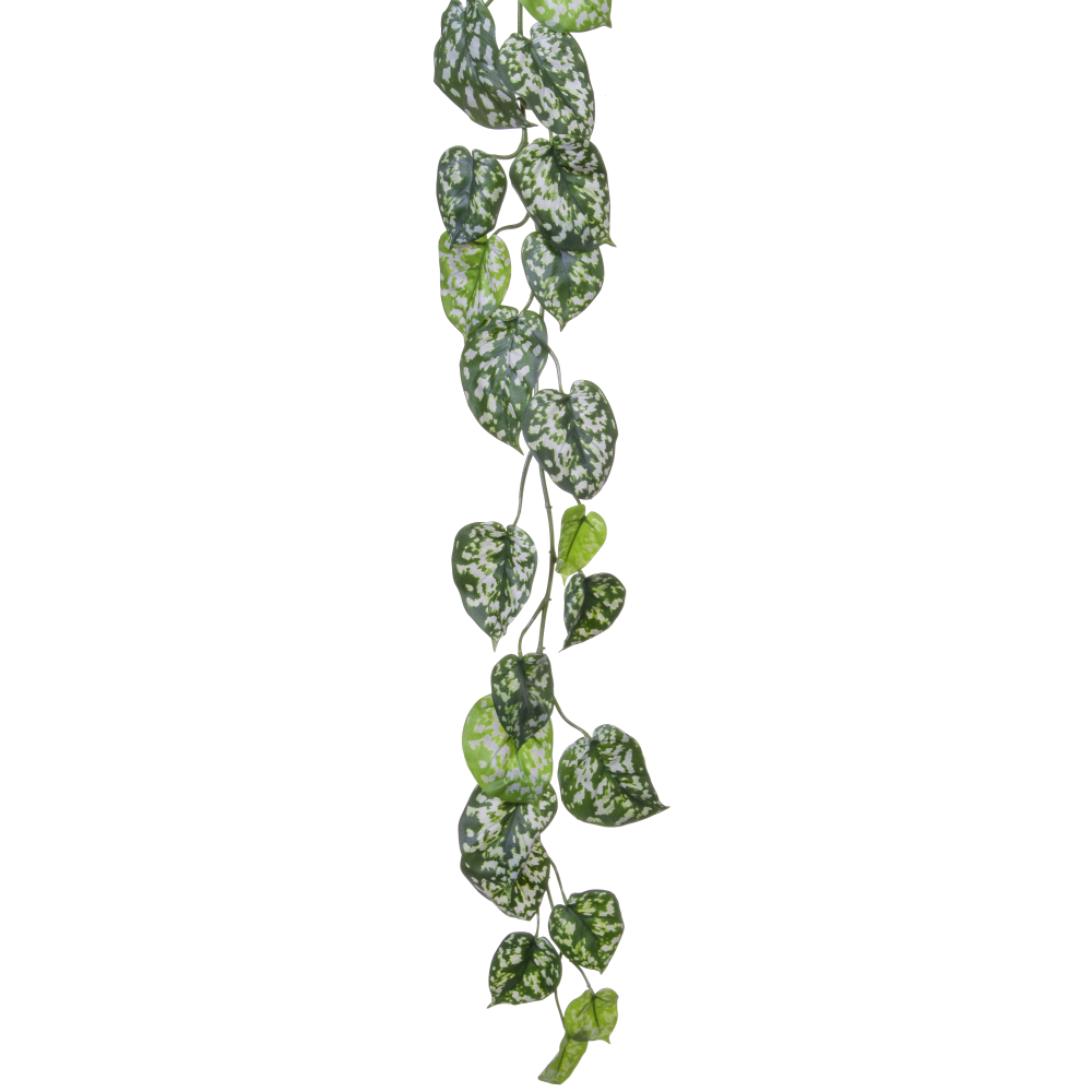 Blattgirlande Scindapsus B1 grün 155 cm