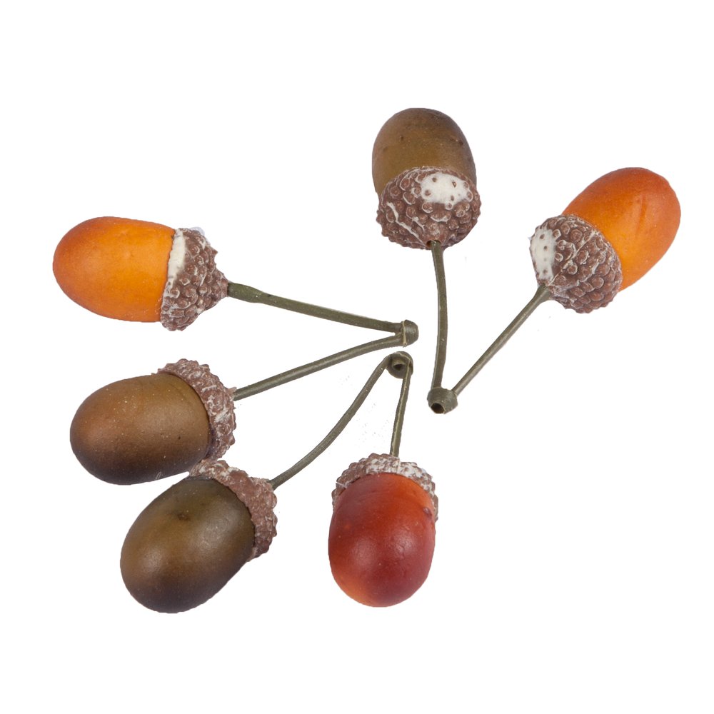 Eicheln x2 50 Stück im Beutel, 7 cm