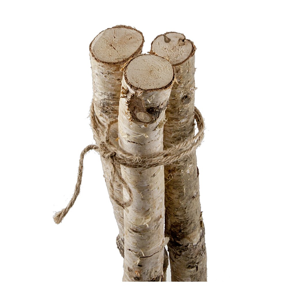 Birkenstämme gebündelt dünn, 100 cm