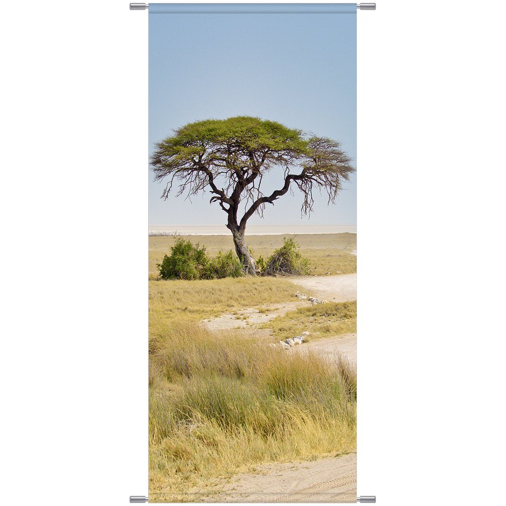 Banner Afrika Dornbuschsavanne