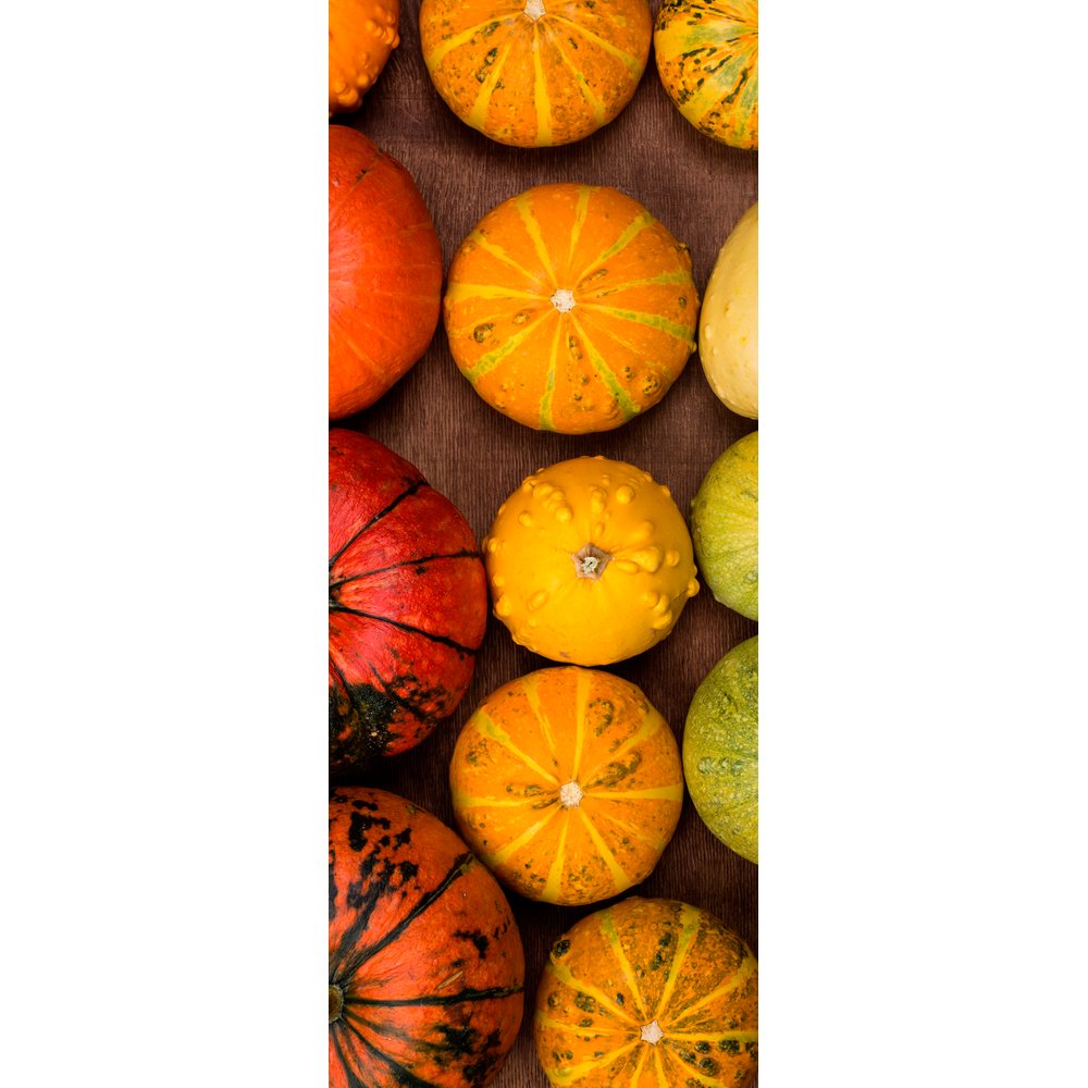 Banner Zierkürbisse, 75 x 180 cm