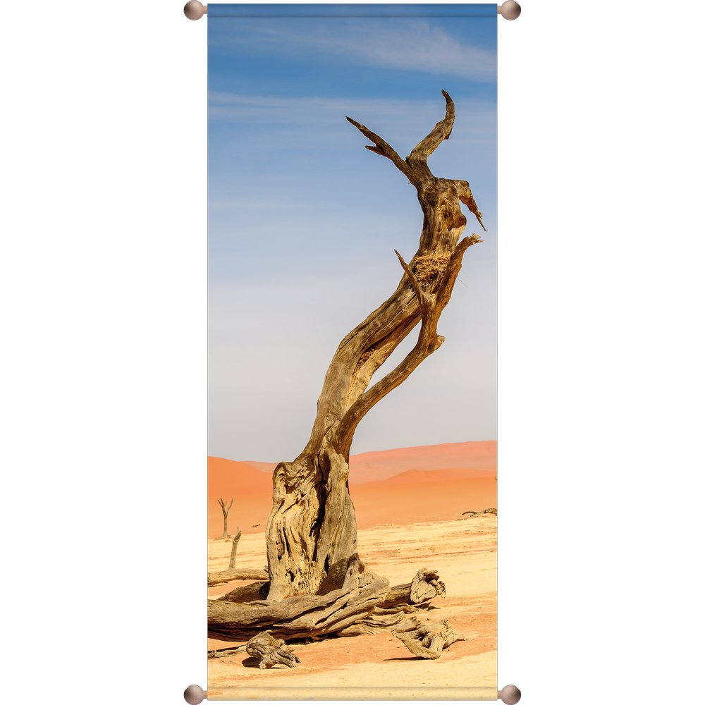 Banner Mojave (Wüste), 75 x 180 cm