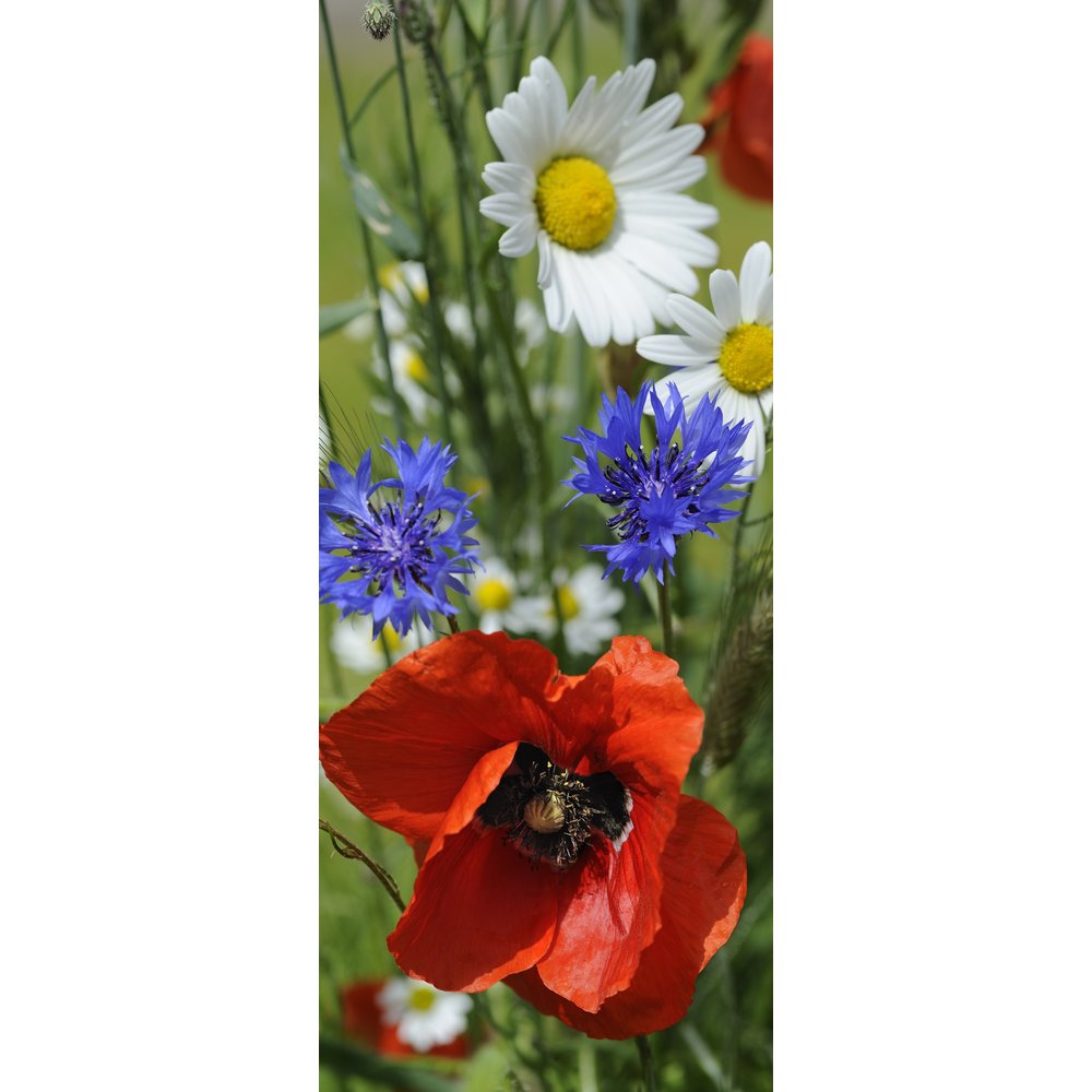 Banner Erntedank (Feldblumen), 75 x 180 cm