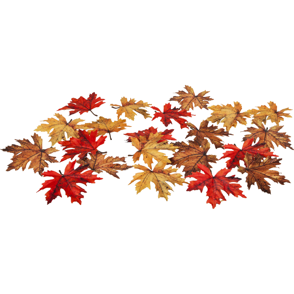 Herbstblätter Ahorn Mix x24 herbstbunt,24 Stück 15cm