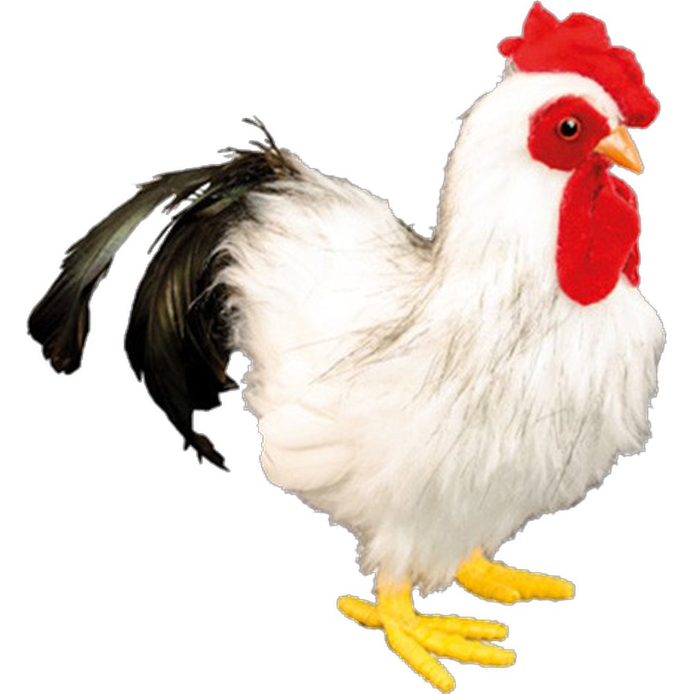 Hahn Atrappe Federfuß weiß Höhe 22 cm