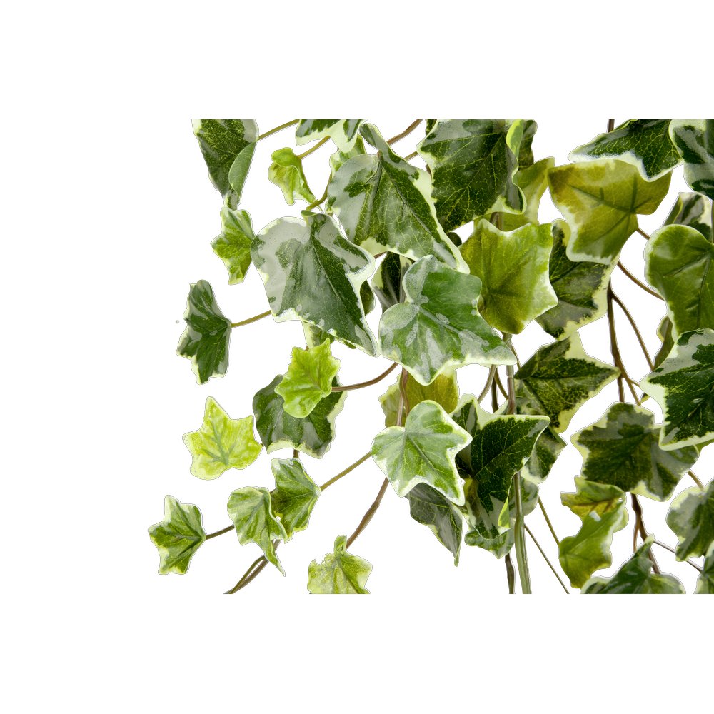 Efeuhänger Waterproof grün/weiß, 85 cm