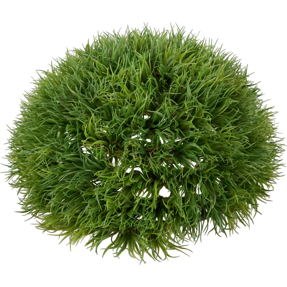 Lavendelgras Halbkugel grün, Ø 25 cm