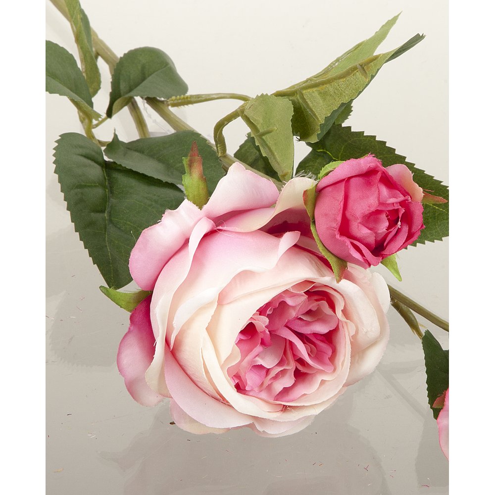 Englische Rosen als Zweig x3 rosa/pink, Ø 20 x L 64 cm