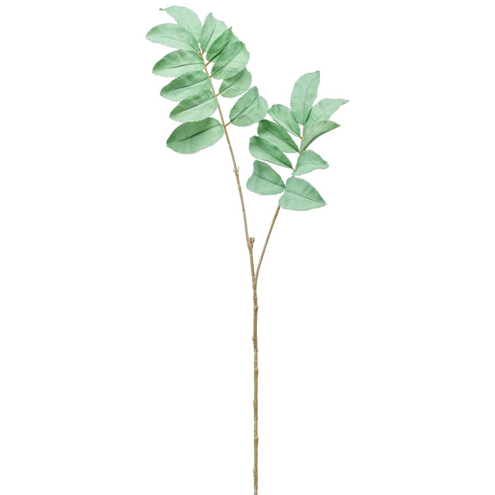 Melianthus-Zweig Color mint, 95 cm