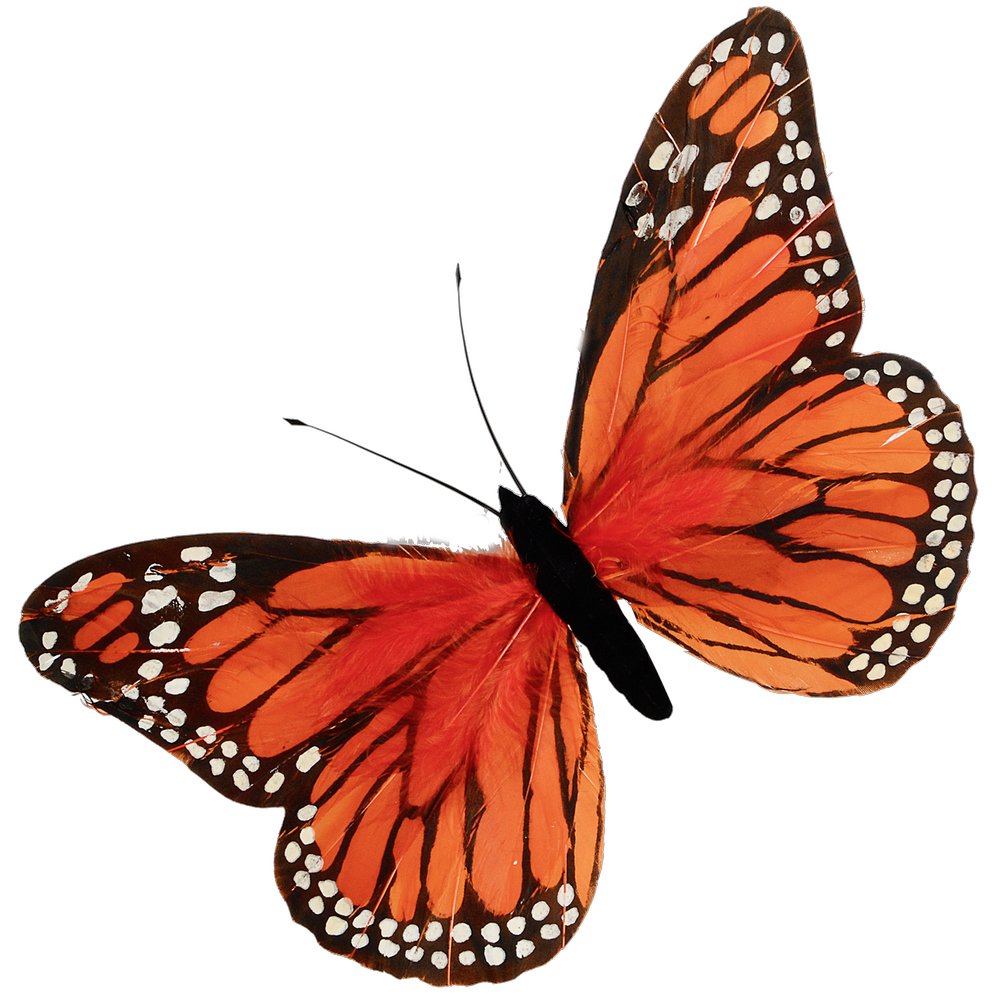 Schmetterling aus Federn orange  B 56 cm, H 38 cm
