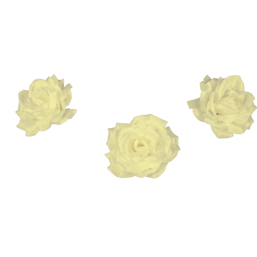 Rosenblütenköpfe 12 Stück creme, Ø 10cm