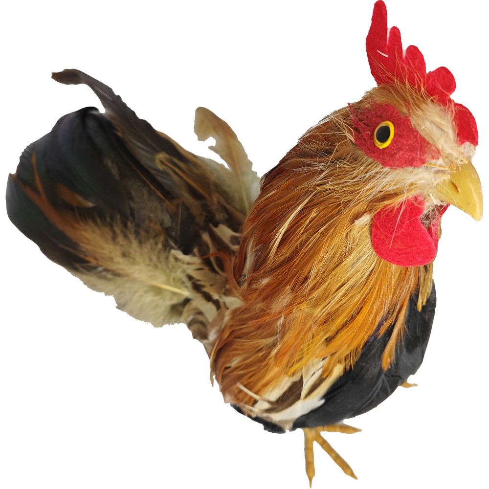 Hahn Natural natur/bunt,H 28 cm