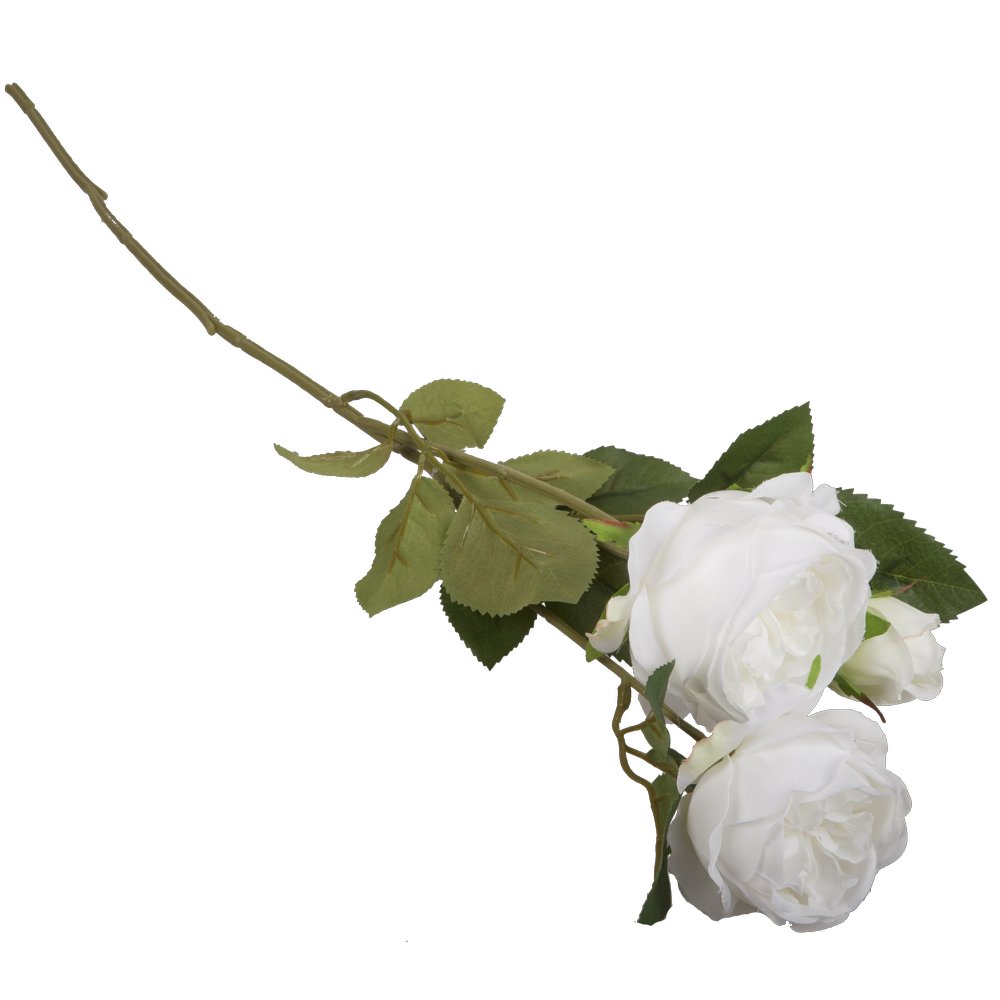 Englische Rosen als Zweig x3 grün/weiß, Ø 20 x L 64 cm