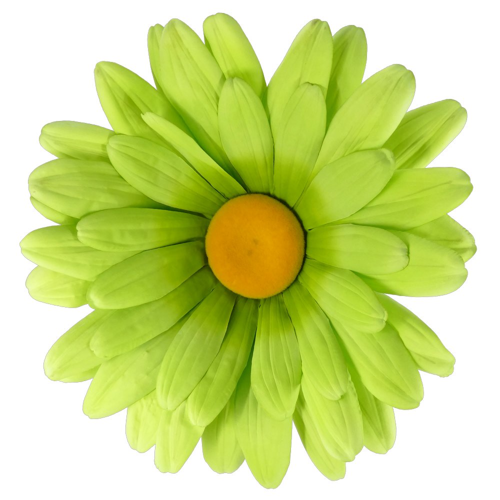 Margeritenblütenkopf Hänger grün, Ø 60 cm