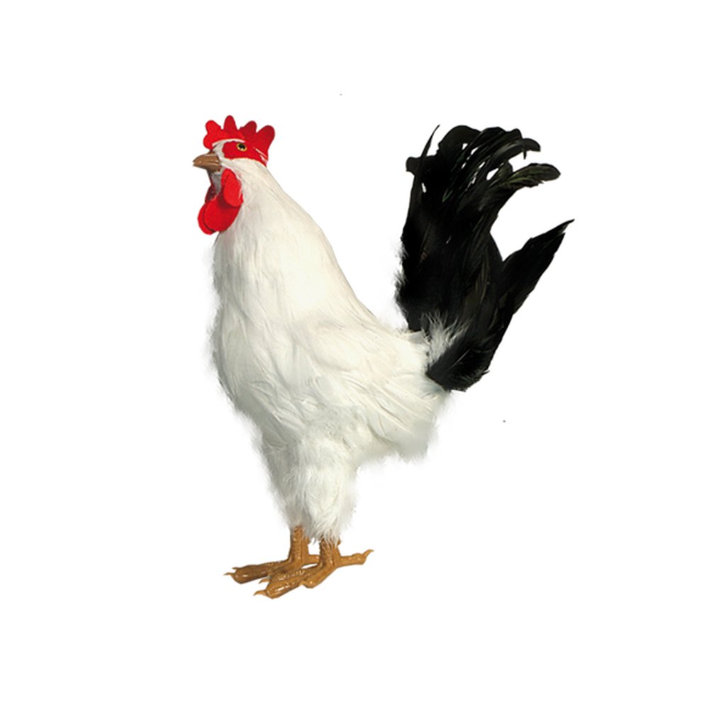 Hahn Tierattrappe groß stehend weiß, 35 cm