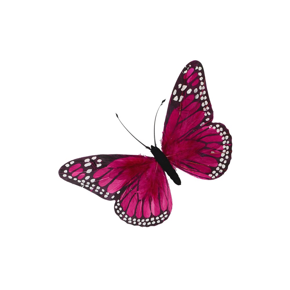 Schmetterling aus Federn pink B 16 cm, H 11