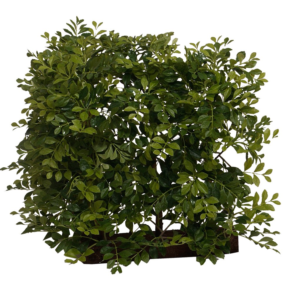 Blätterzaun Winkel, 50 cm