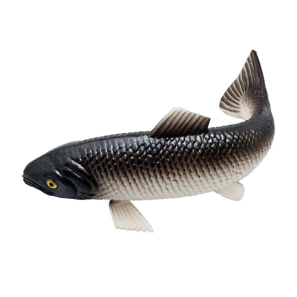 Forelle gebogen, 19 x 12 x 9 cm