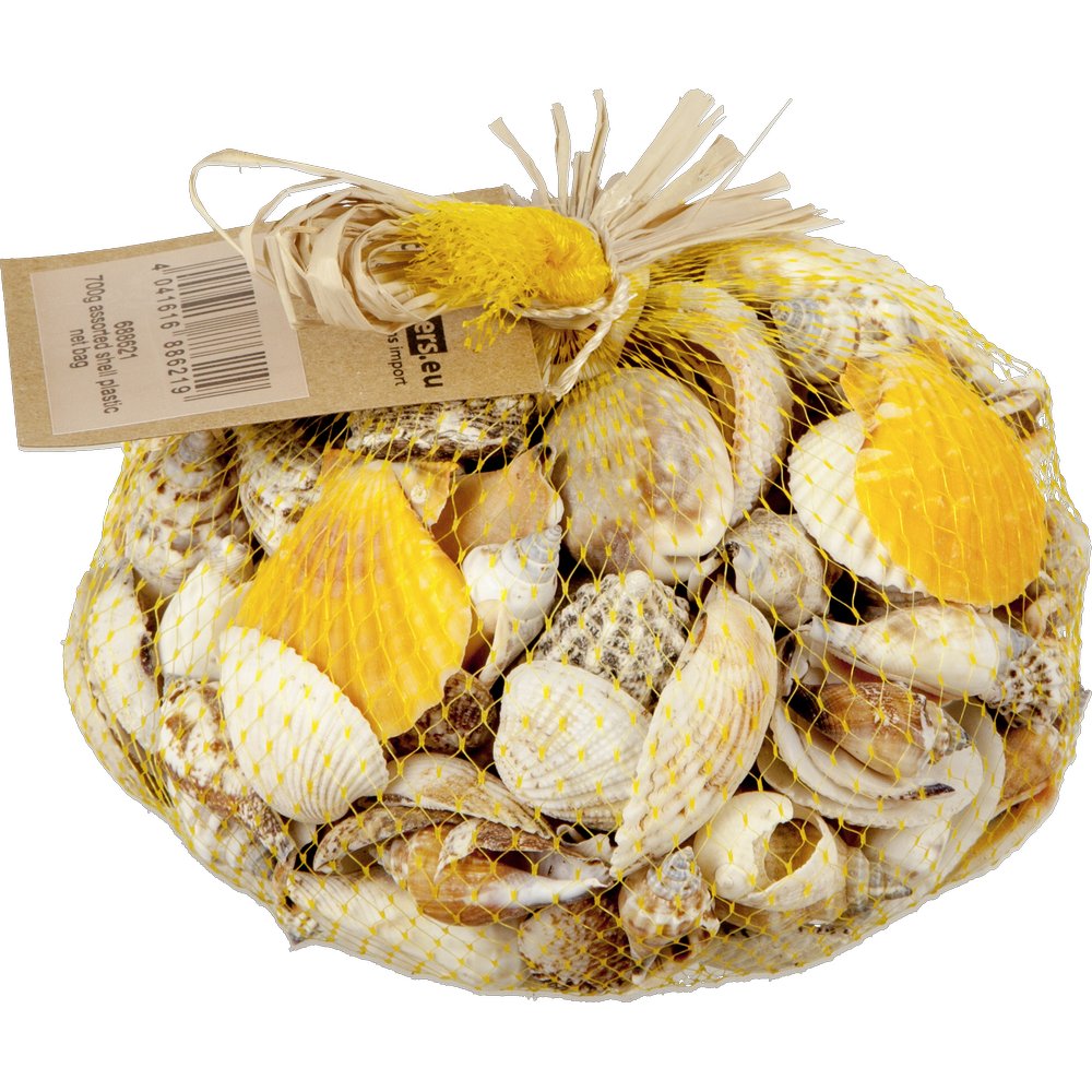 Muscheln echt gemischt im Netz, 700 g, 4-8 cm