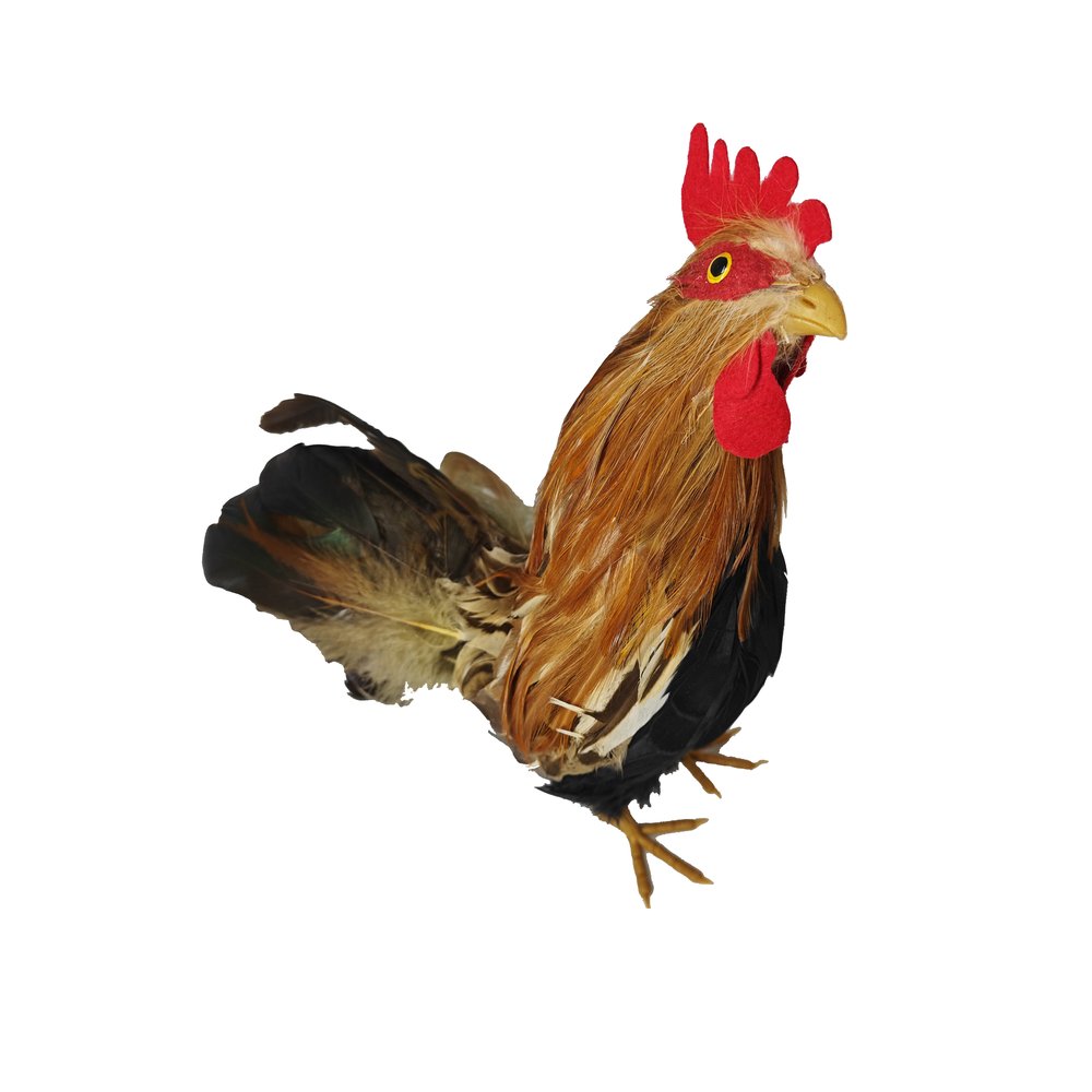 Hahn Natural natur/bunt,H 28 cm