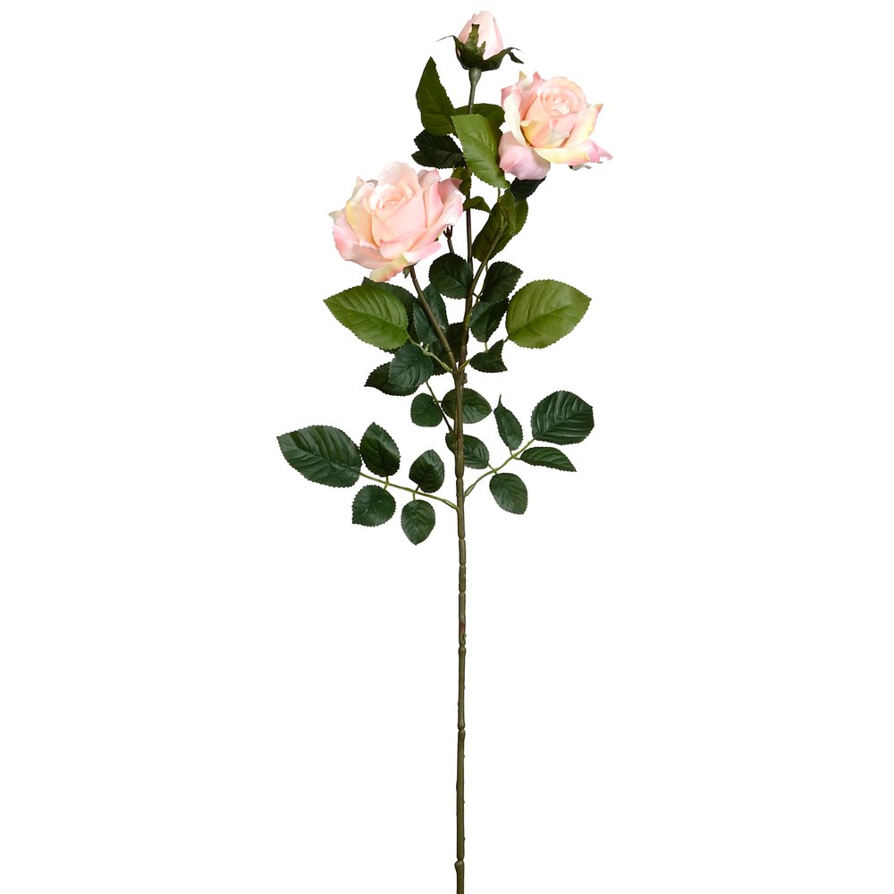 Rosenzweig x3 Luxor rose, 90 cm
