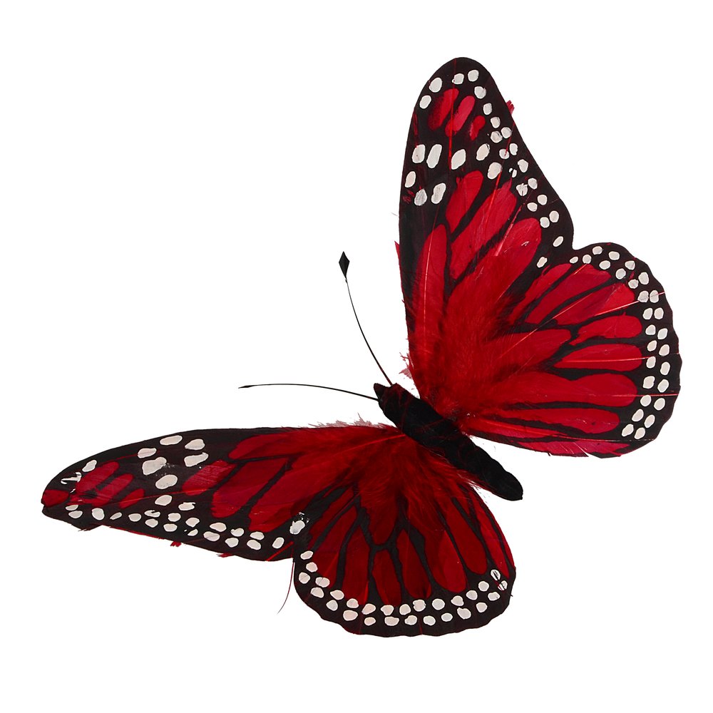 Schmetterling aus Federn rot, 30 x 18 cm