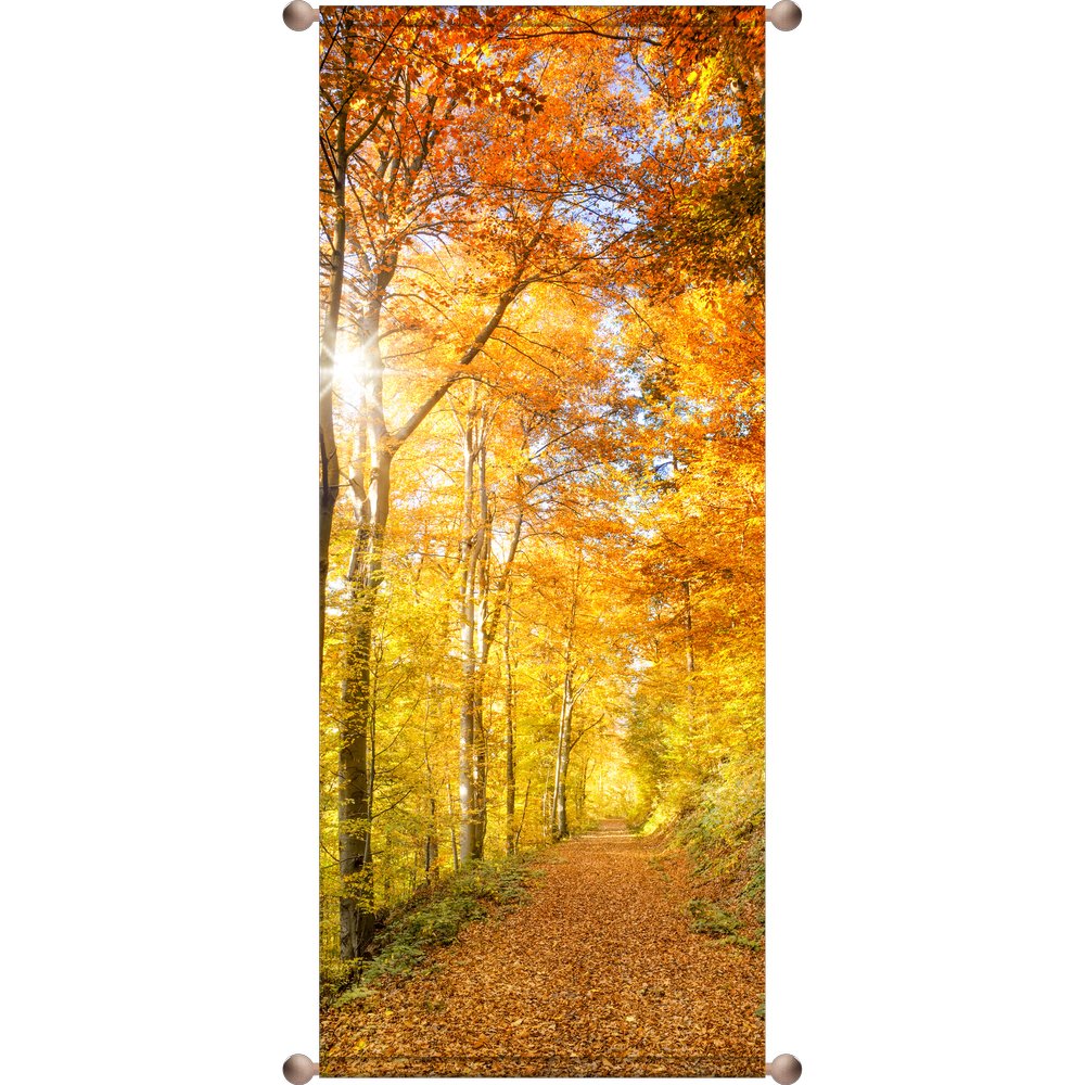 Banner Herbstwald, 75 x 180 cm