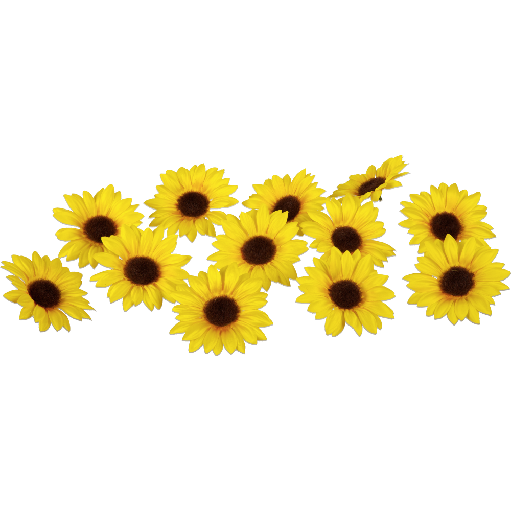 Sonnenblumen Blüten Florale gelb 12 Stück 9 cm