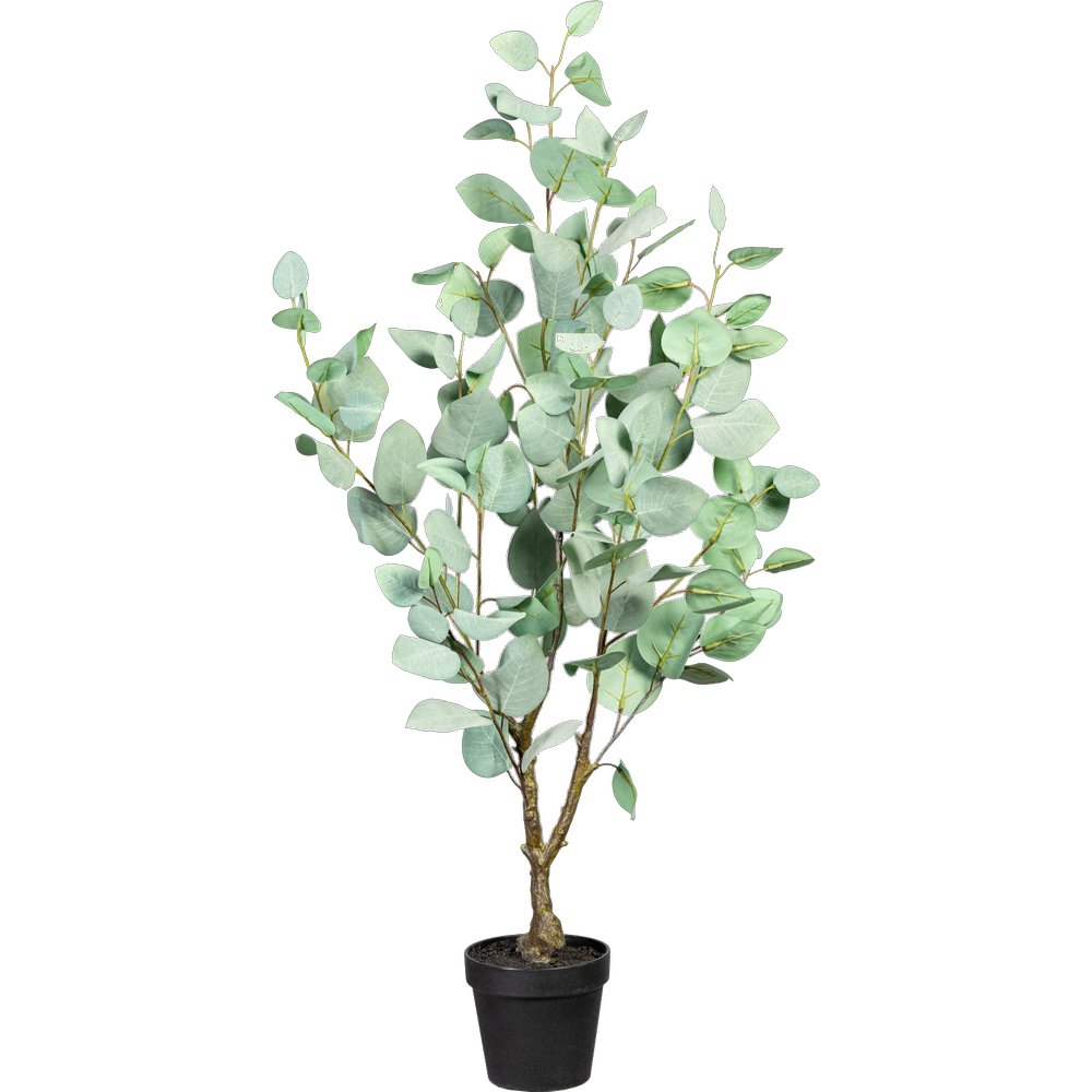 Eukalyptus Baum grün, 90 cm