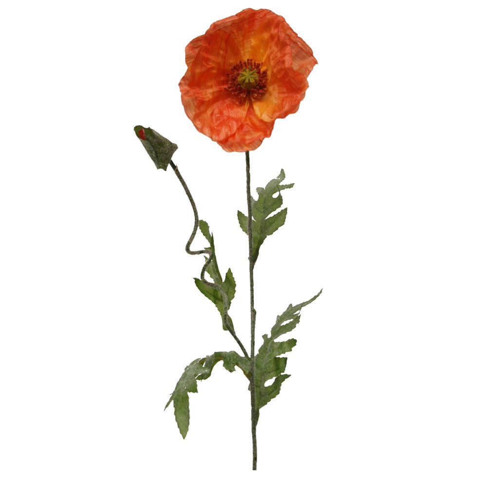 Mohn x2 1 Blüte und 1 Knospe orange, Ø 18 x 68 cm