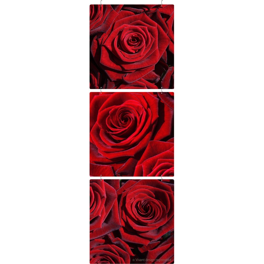 Display-Set Rose rot, 3-teilig, 50 x 153 cm