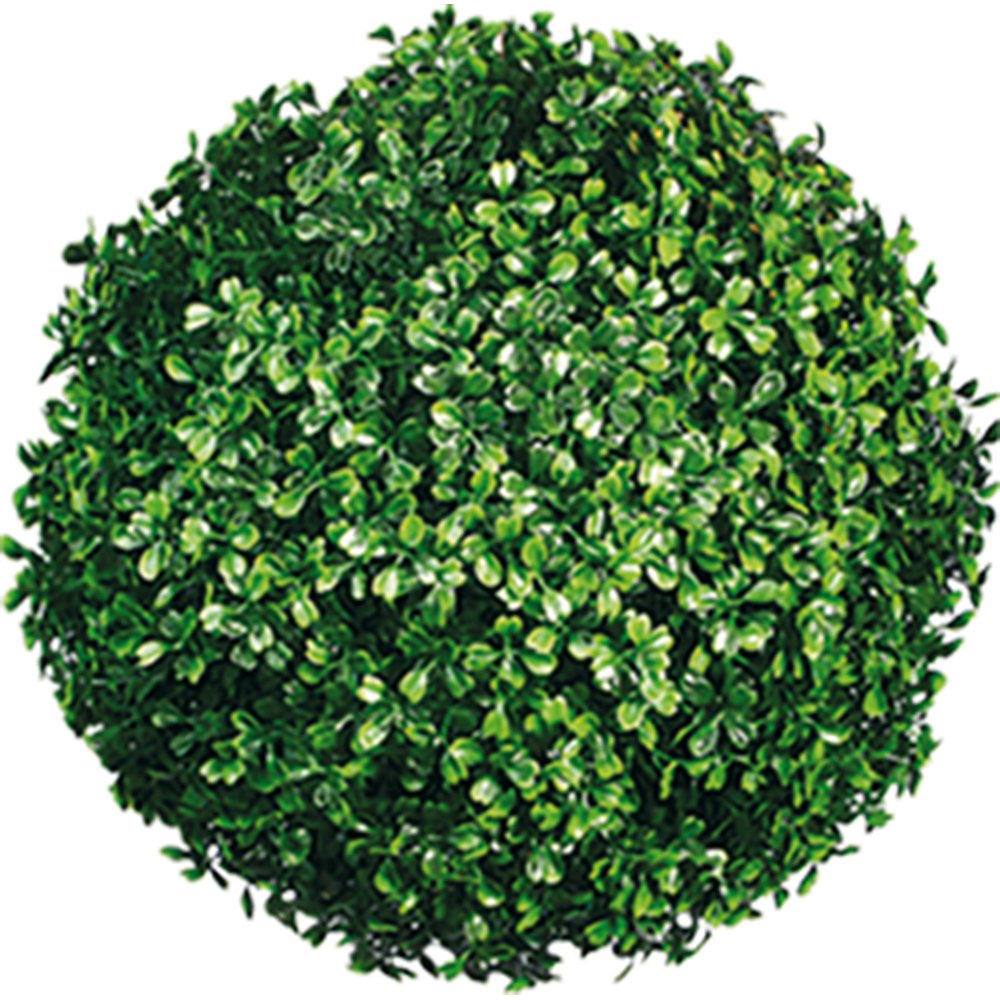 Buchskugel grün, Ø 33 cm