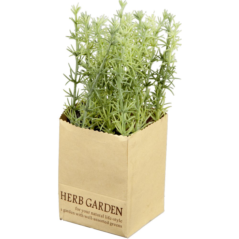 Rosmarin in Paperbag, 18 cm