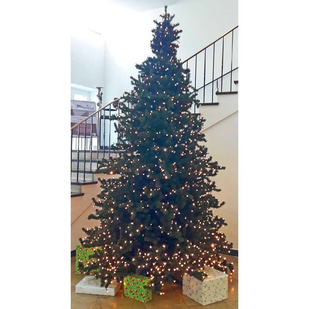 Edeltanne + Lichterkette LED grün, warm-weiß,50 LEDs H90cm