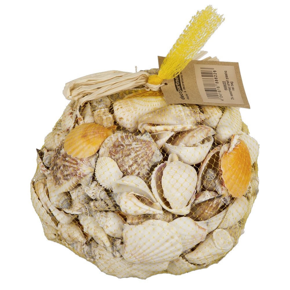 Muscheln echt gemischt im Netz, 2 kg, 4-8 cm