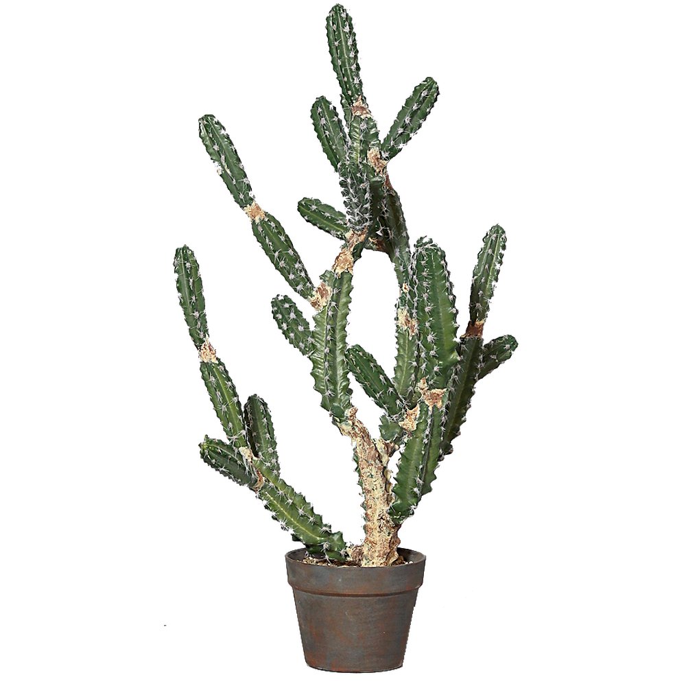 Kaktus im Topf, H 83 cm