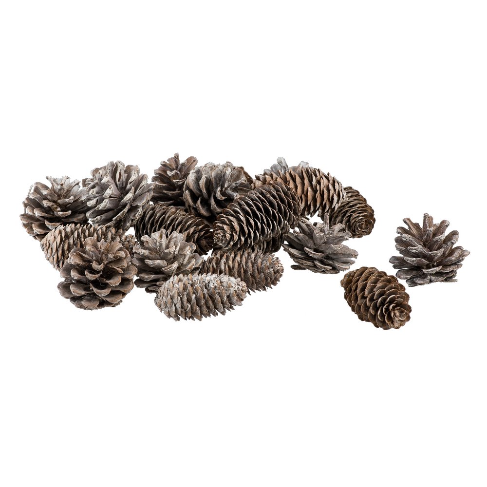 Tannenzapfen Mix im Beutel, natur-weiß, 20 Stück, 5-7 cm