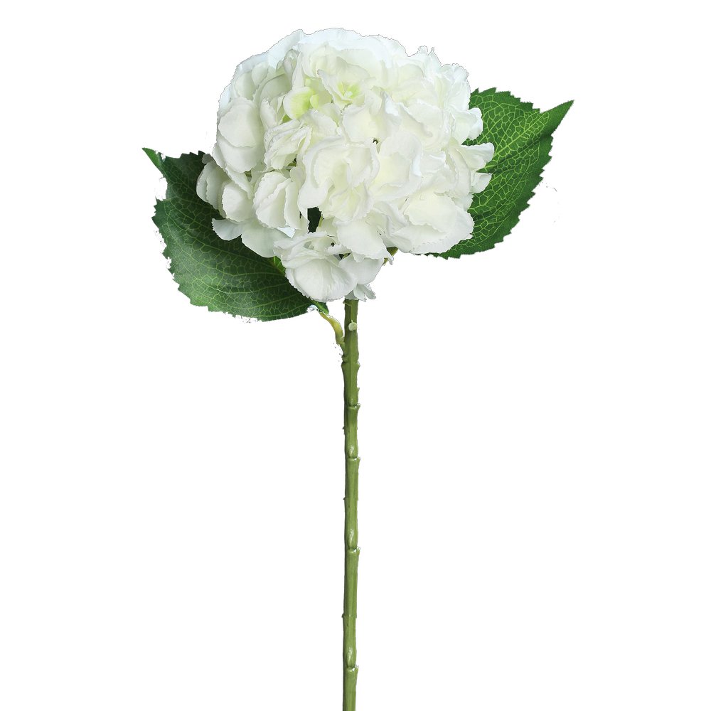 Hortensie mit 3 Blätter weiß, 44 cm