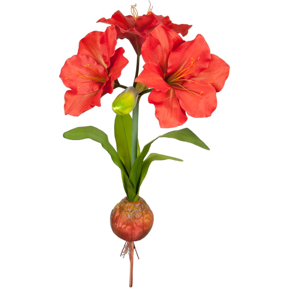 Amaryllis Pflanze XL rot, Ø 50 x 108 cm