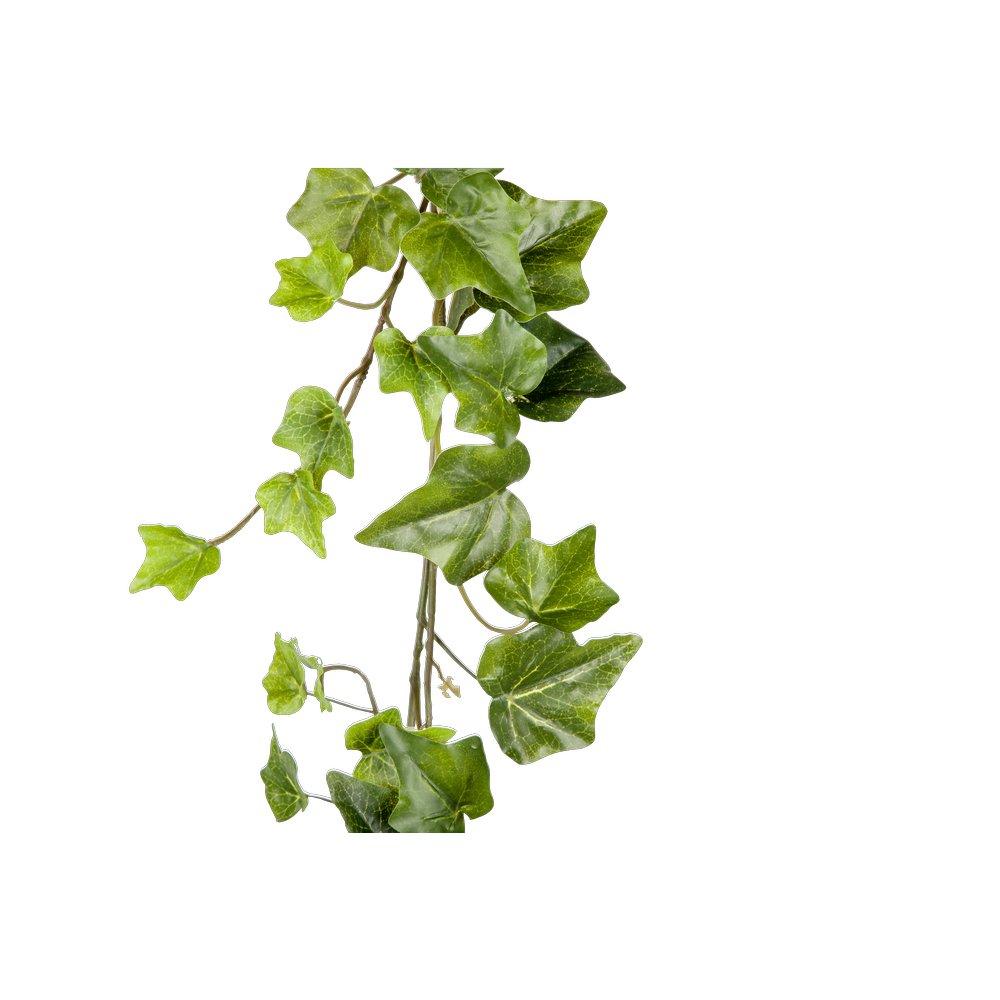Efeugirlande Waterproof grün, 180 cm