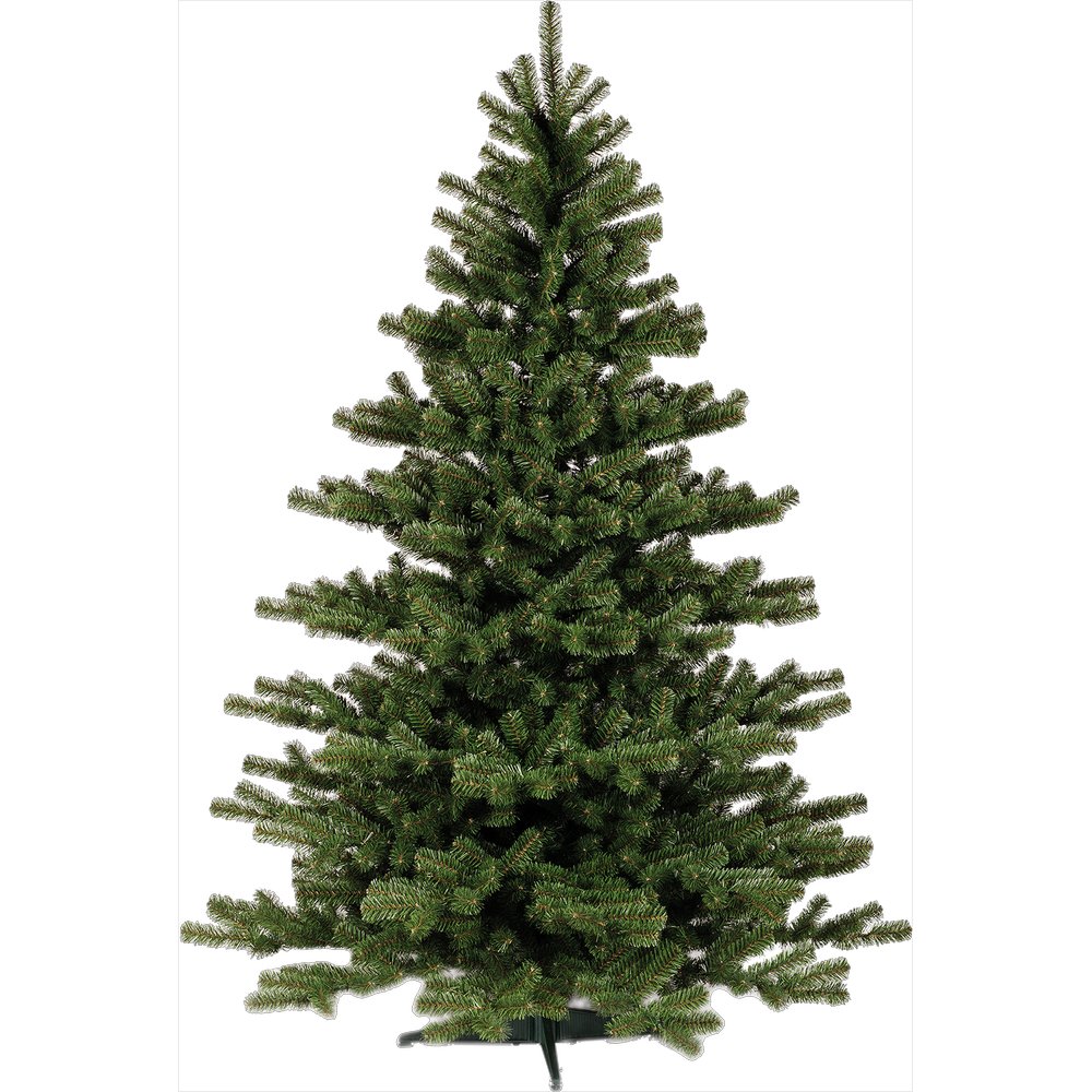 Edeltanne 157 Tips/Spitzen, H 80cm, Ø 65cm