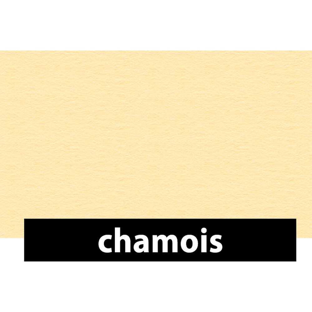 Fotokarton beidseitig bedruckt chamois, 70 x 100 cm, 300 g/m²