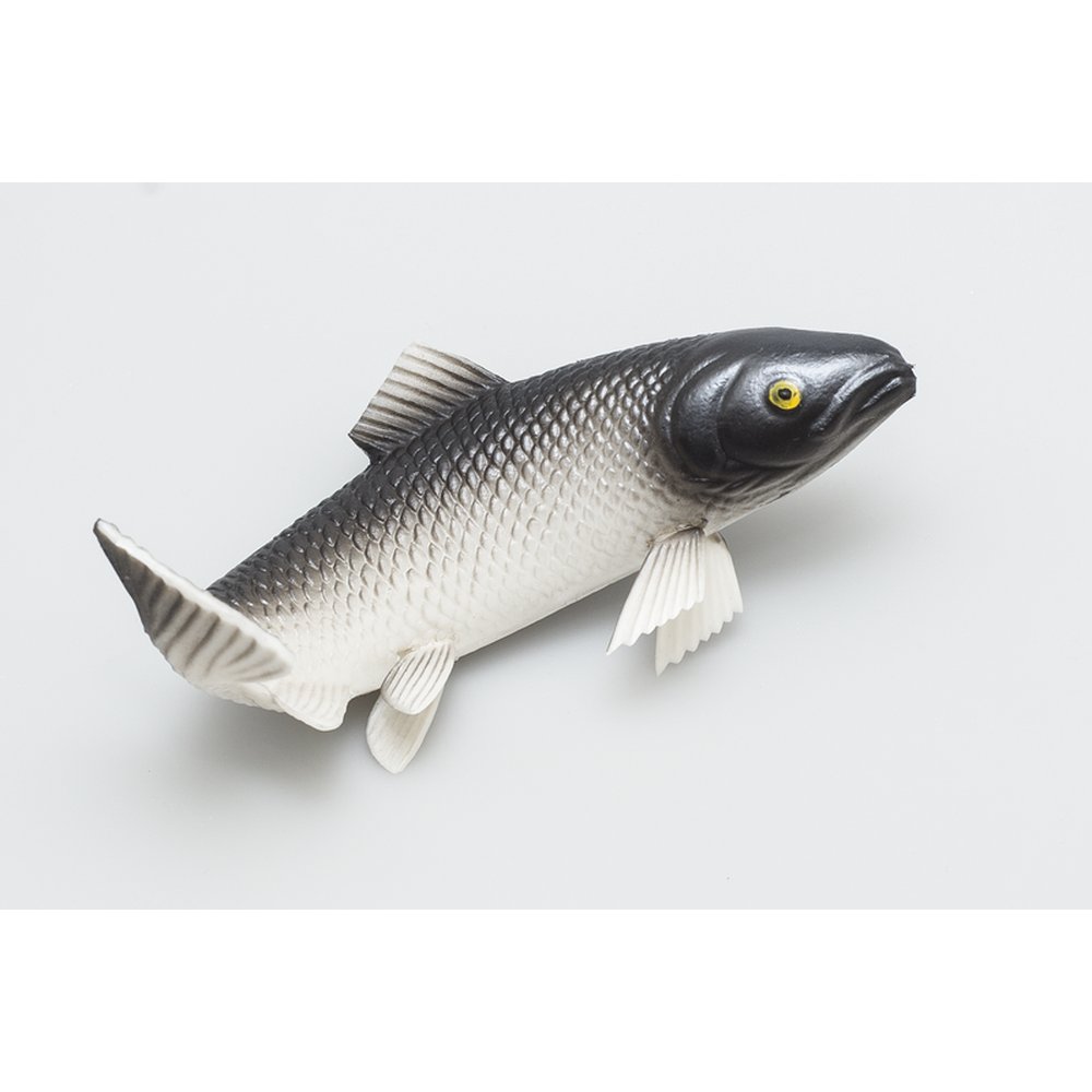 Forelle gebogen, 19 x 12 x 9 cm