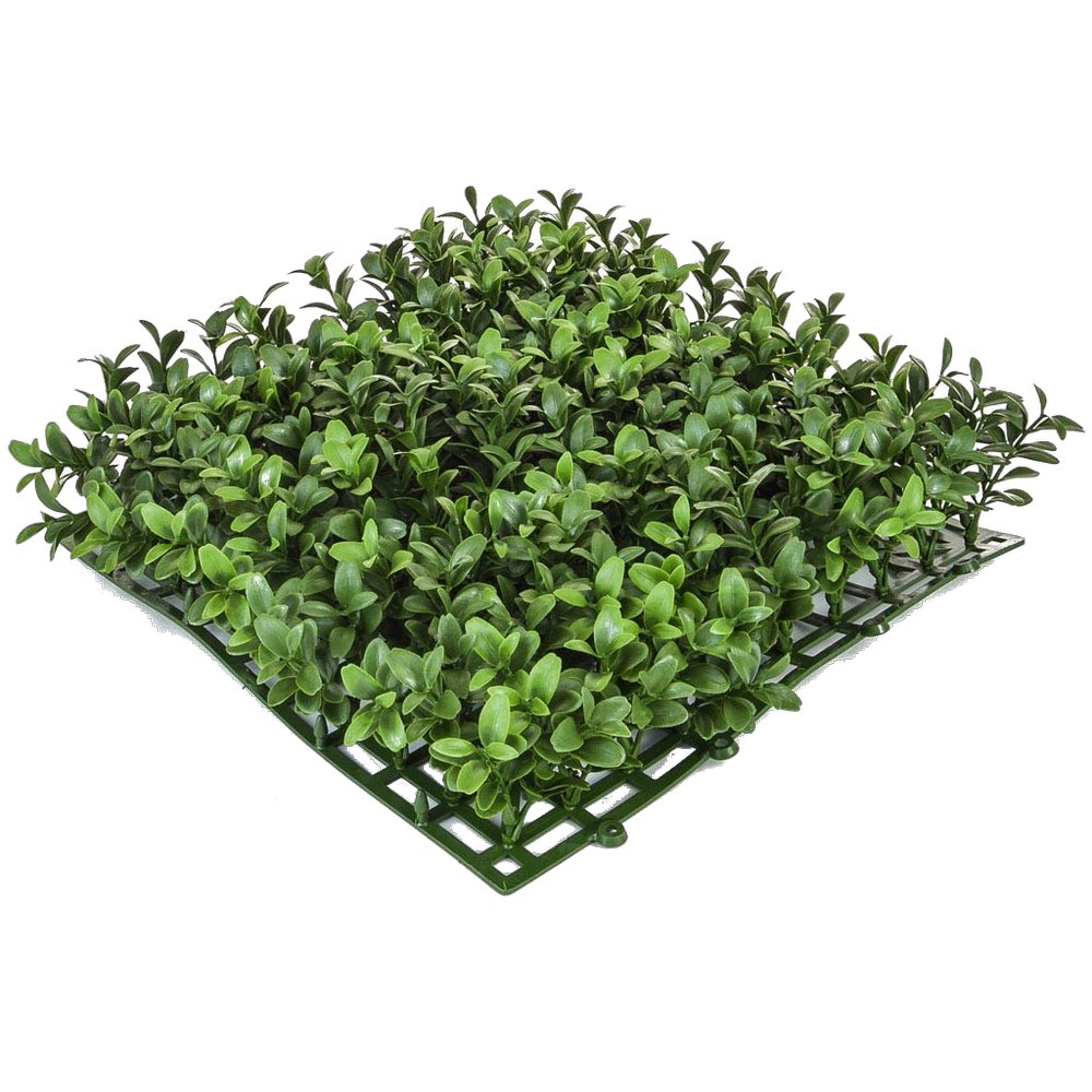 Buchs Matte Topiary B1, 25 x 25 cm